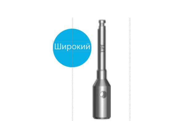 65004 – Мукотом широкий